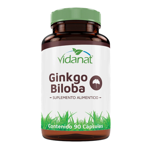 GINKGO BILOBA 90CAP VIDANAT